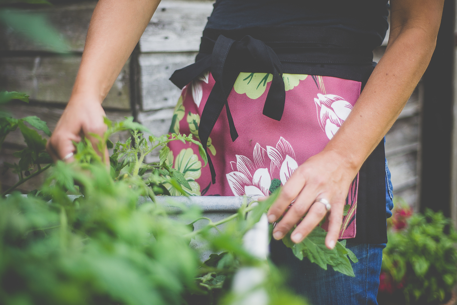 Garden-Apron-with-bug-Denys-Fielding