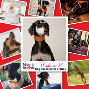 Best UK-made Dog's accessories