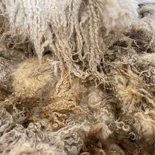 Glencroft Yorkshire Dales Wool