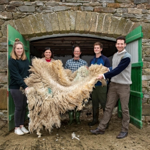 Member News: Glencroft launches unique Yorkshire Dales wool project with local farmers