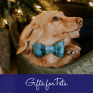 Market British Gift Guide Images Gifts for Pets