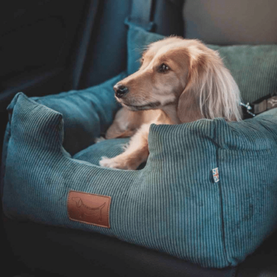Dog car seat made in the UK by Where's Winnie