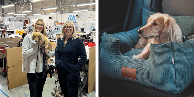 Client success story - Where's Winnie dogs accessories brand