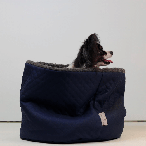 British-made Accessories for Dogs UK by Hector Hartley