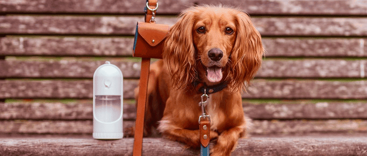 Buy British Sports & Leisure and Pet Products | How and where to buy products made in the UK