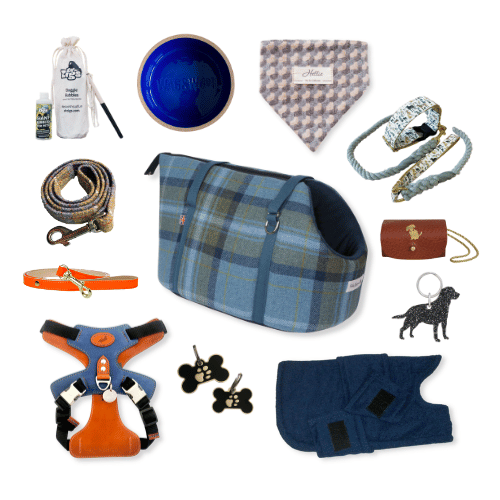 Top 10 Make it British Accessories for Dogs British-made pet brands