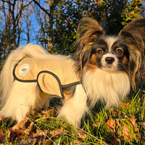 Doggy Armour Doggy Armour