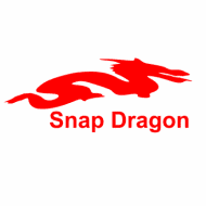 Snap Dragon Guitars 
